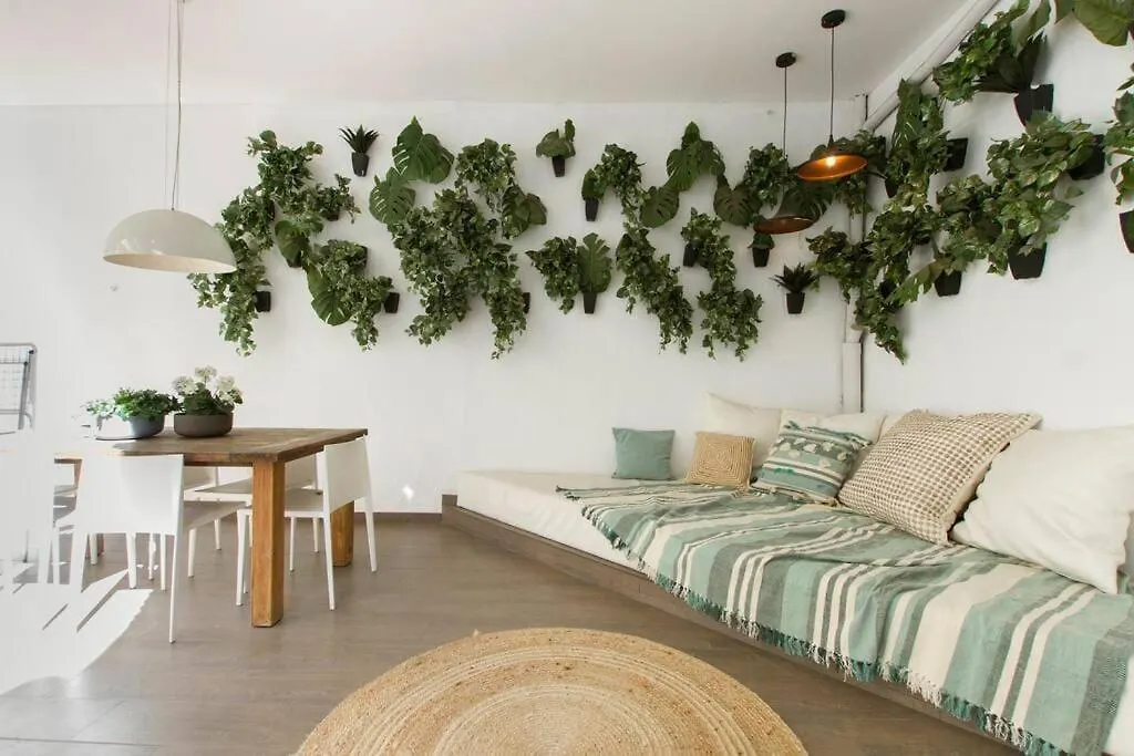 Canela Homes Barcelona Valencia 0*,  İspanya